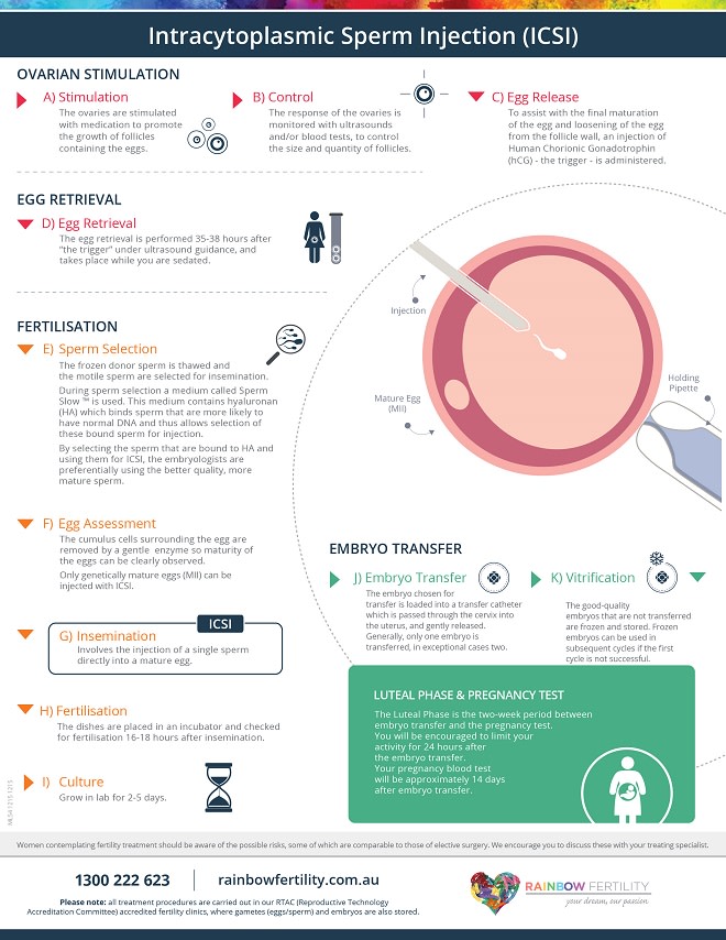 Rainbow Fertility_ICSI_Infographic_(Lesbian)_Final