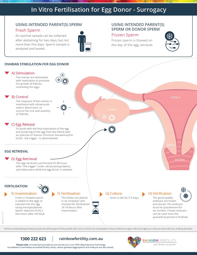 4. Rainbow Fertility_IVF_(GAY) 660pix