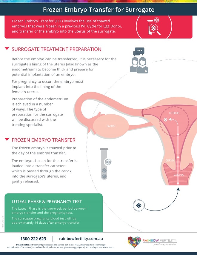 Frozen Embryo Transfer For Surrogate Rainbow Fertility Frozen Embryo Transfer For Surrogate Rainbow Fertility