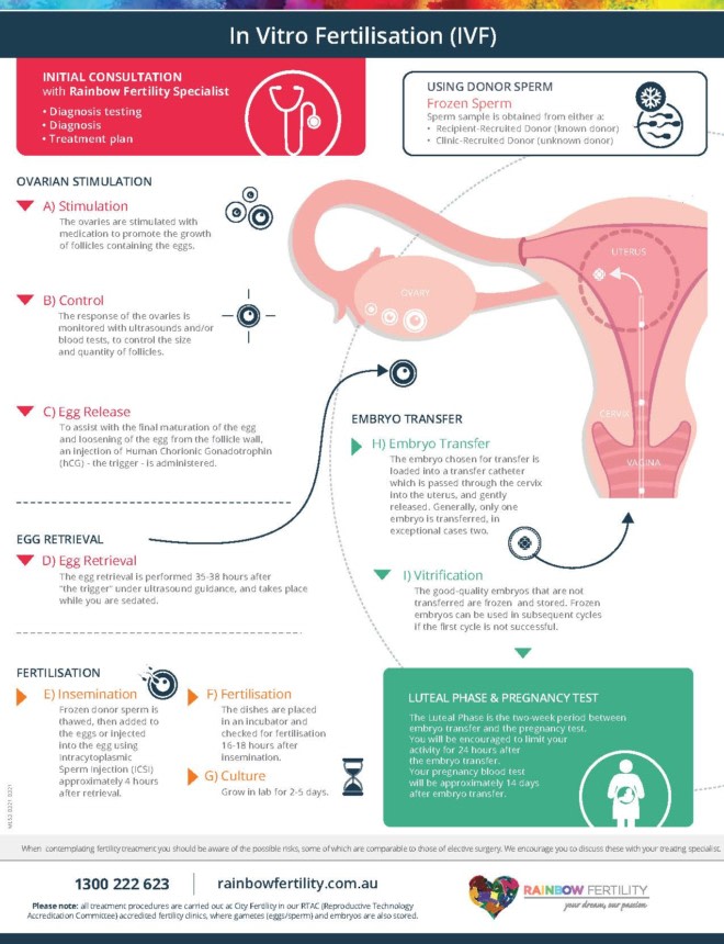 ML53 Rainbow Fertility IVF In Vitro Fertilisation Infographic e1615867817781