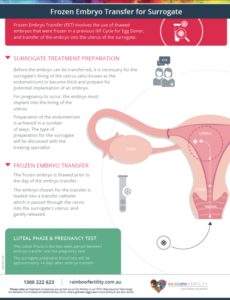 Frozen Embryo Transfer Information Guide