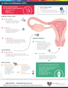IVF infographic Rainbow Fertility
