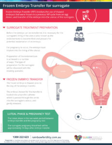 Frozen embryo transfer for surrogate infographic Rainbow Fertility